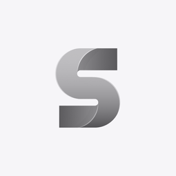 WORLDWIDE TAX FILERS LLP